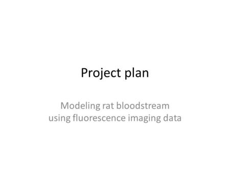 Project plan Modeling rat bloodstream using fluorescence imaging data.