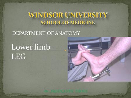 WINDSOR UNIVERSITY SCHOOL OF MEDICINE