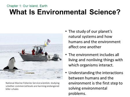 What Is Environmental Science?