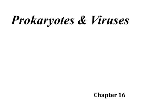 Prokaryotes & Viruses Chapter 16.