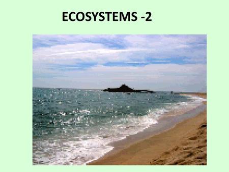 ECOSYSTEMS -2.