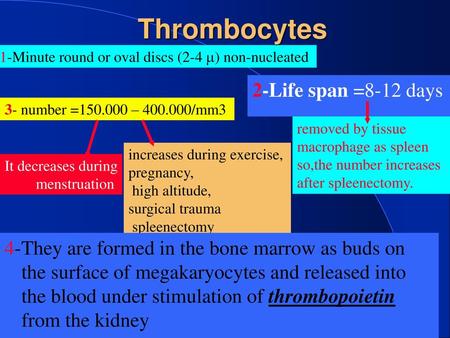 Thrombocytes 2-Life span =8-12 days