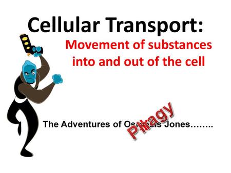 Movement of substances into and out of the cell