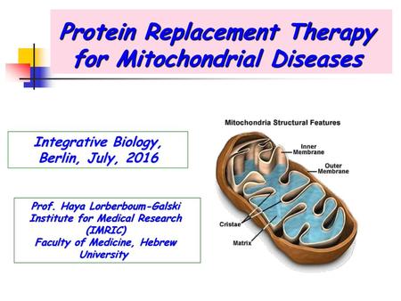 Protein Replacement Therapy for Mitochondrial Diseases