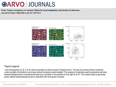 Journal of Vision. 2004;4(9):3. doi: /4.9.3 Figure Legend: