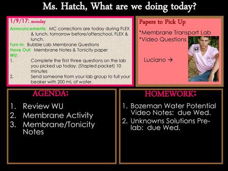 Ms. Hatch, What are we doing today?