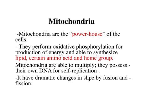 Mitochondria -Mitochondria are the “power-house” of the cells.