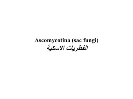 Ascomycotina (sac fungi) الفطريات الاسكية