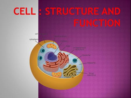 CELL : STRUCTURE AND FUNCTION