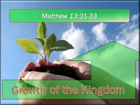 Matthew 13:31-33 Growth of the Kingdom.