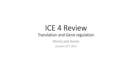 ICE 4 Review Translation and Gene regulation