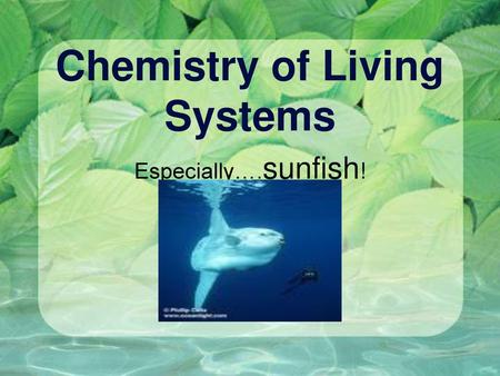 Chemistry of Living Systems