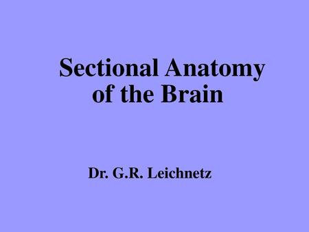 Sectional Anatomy of the Brain