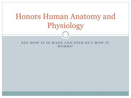 Honors Human Anatomy and Physiology