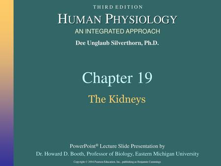 Chapter 19 The Kidneys.