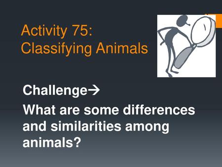 Activity 75: Classifying Animals