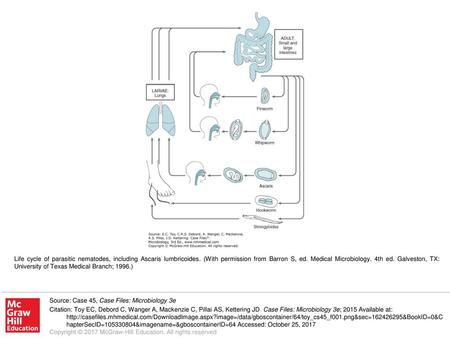 Life cycle of parasitic nematodes, including Ascaris lumbricoides