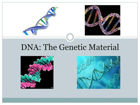 DNA: The Genetic Material