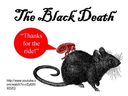 The Black Death “Thanks for the ride!”