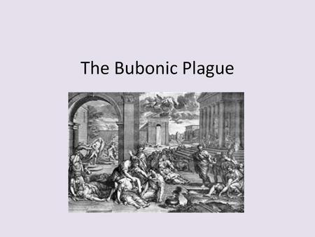 The Bubonic Plague.