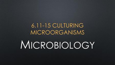 culturing Microorganisms