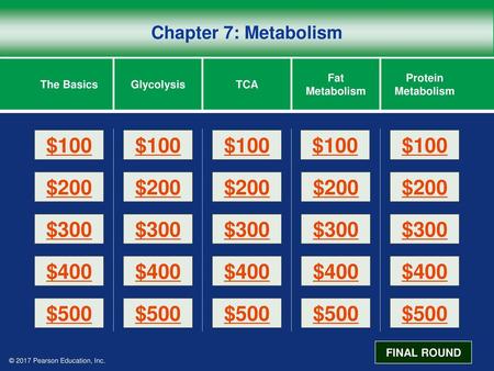 Chapter 7: Metabolism The Basics Glycolysis TCA Fat Metabolism