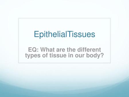 EQ: What are the different types of tissue in our body?