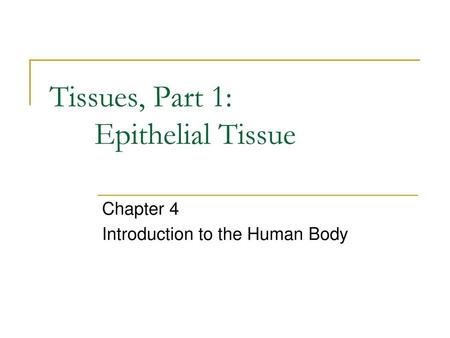 Tissues, Part 1: Epithelial Tissue