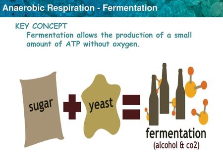 If no oxygen is available, cells can obtain energy through the process of anaerobic respiration.