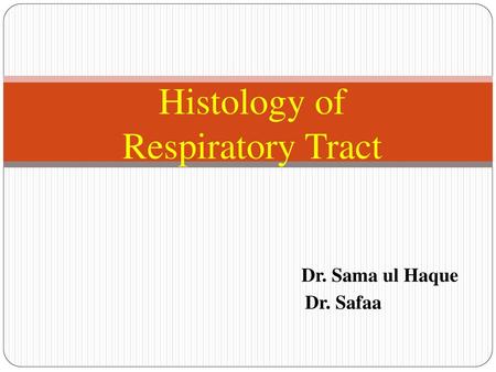 Histology of Respiratory Tract