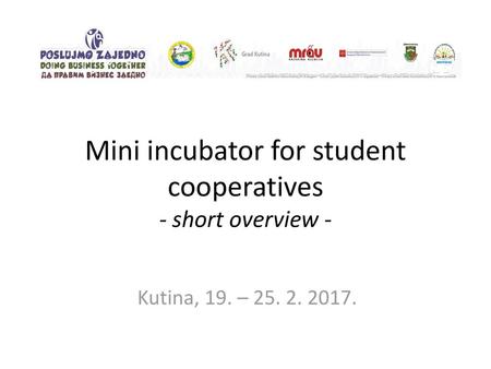 Mini incubator for student cooperatives - short overview -