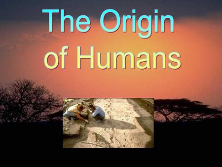 The Origin of Humans.