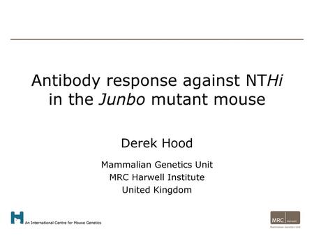 Antibody response against NTHi in the Junbo mutant mouse