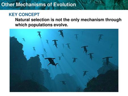 Definition: Movement of alleles from one population to another