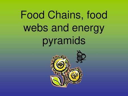 Food Chains, food webs and energy pyramids