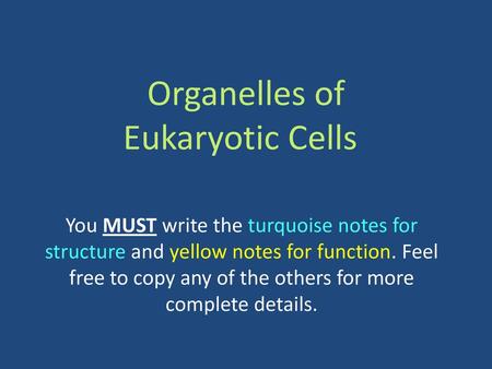 Organelles of Eukaryotic Cells