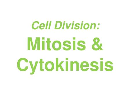 Cell Division: Mitosis & Cytokinesis