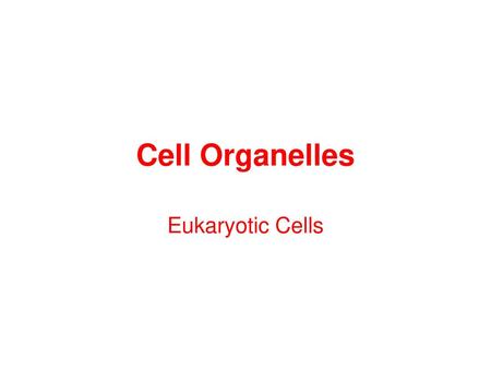 Cell Organelles Eukaryotic Cells.