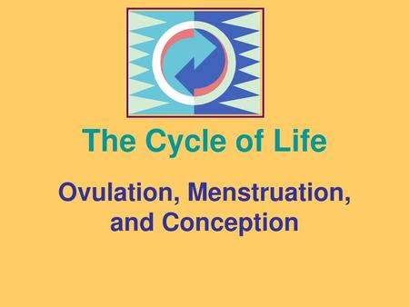 Ovulation, Menstruation, and Conception