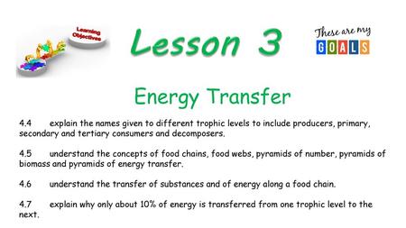 Lesson 3 Energy Transfer