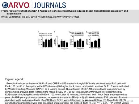 From: Protective Effect of a GLP-1 Analog on Ischemia-Reperfusion Induced Blood–Retinal Barrier Breakdown and Inflammation Invest. Ophthalmol. Vis. Sci..