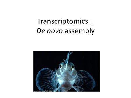 Transcriptomics II De novo assembly