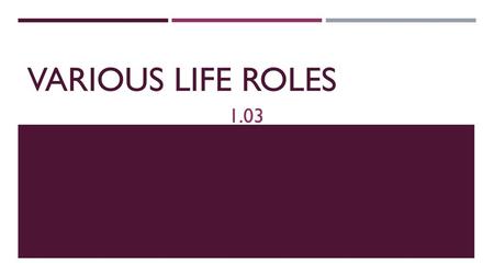 Various Life Roles 1.03.