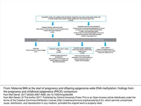 Figure 1 An overview of the study design.