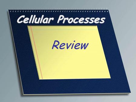 Cellular Processes Review.