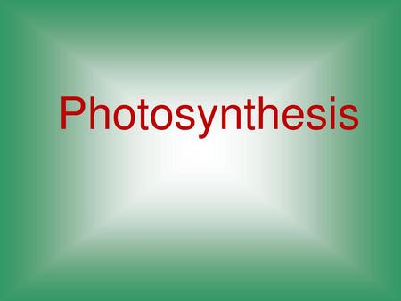 Photosynthesis.