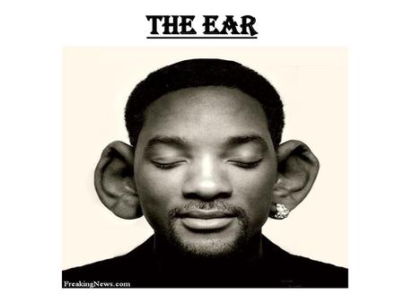 The Ear.