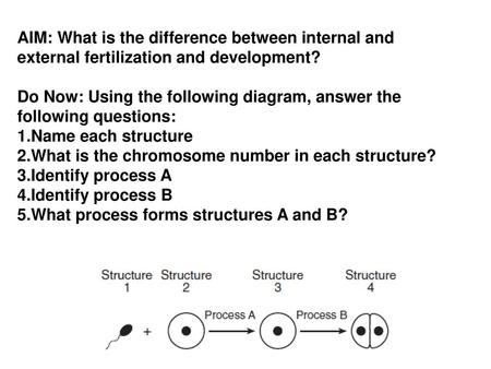 Do Now: Using the following diagram, answer the following questions: