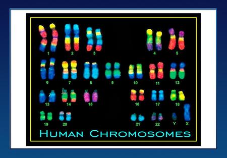 Sexual Reproduction and Genetics Section 1: Meiosis Section 2: Mendelian Genetics Section 3: Gene Linkage and Polyploidy Click on a lesson name.