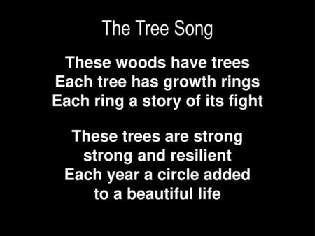 The Tree Song These woods have trees Each tree has growth rings